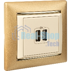 Розетка 2-ая USB 774170 Legrand Valena Сл. кость