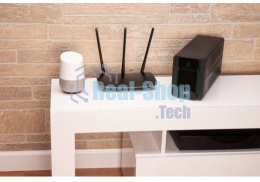 Источник бесперебойного питания APC Easy-UPS BVX900LI-GR 480Вт 900ВА черный