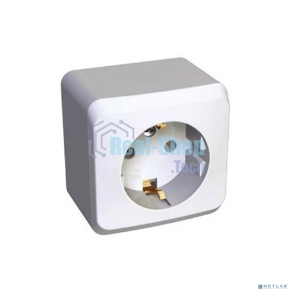 Розетка 1-м ОП Этюд 16А с заземл. белый SchE PA16-003B