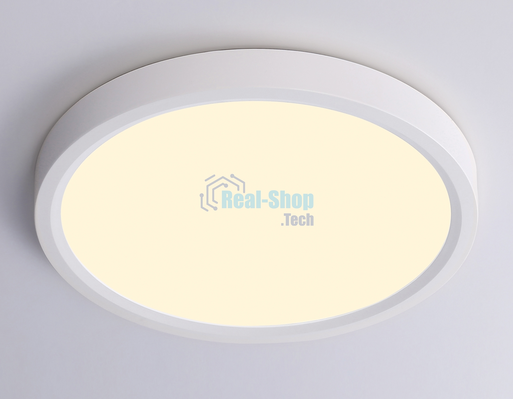 Светильник светодиодный ультратонкий Ambrella light FZ1901 WH белый IP54 13W 3000K-6500K CCT-переключатель D230*25 (Без ПДУ)