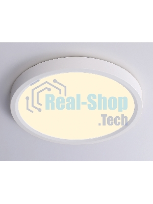 Светильник светодиодный ультратонкий Ambrella light FZ1901 WH белый IP54 13W 3000K-6500K CCT-переключатель D230*25 (Без ПДУ)