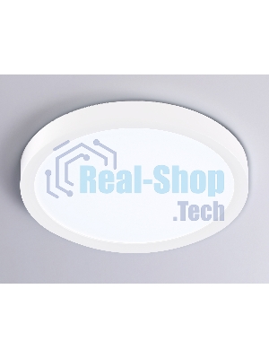 Светильник светодиодный ультратонкий Ambrella light FZ1901 WH белый IP54 13W 3000K-6500K CCT-переключатель D230*25 (Без ПДУ)