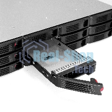 Серверная платформа ExeGate Pro 2U550-HS12 (RM 19