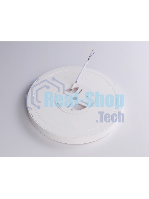 Светильник светодиодный ультратонкий Ambrella light FZ1901 WH белый IP54 13W 3000K-6500K CCT-переключатель D230*25 (Без ПДУ)