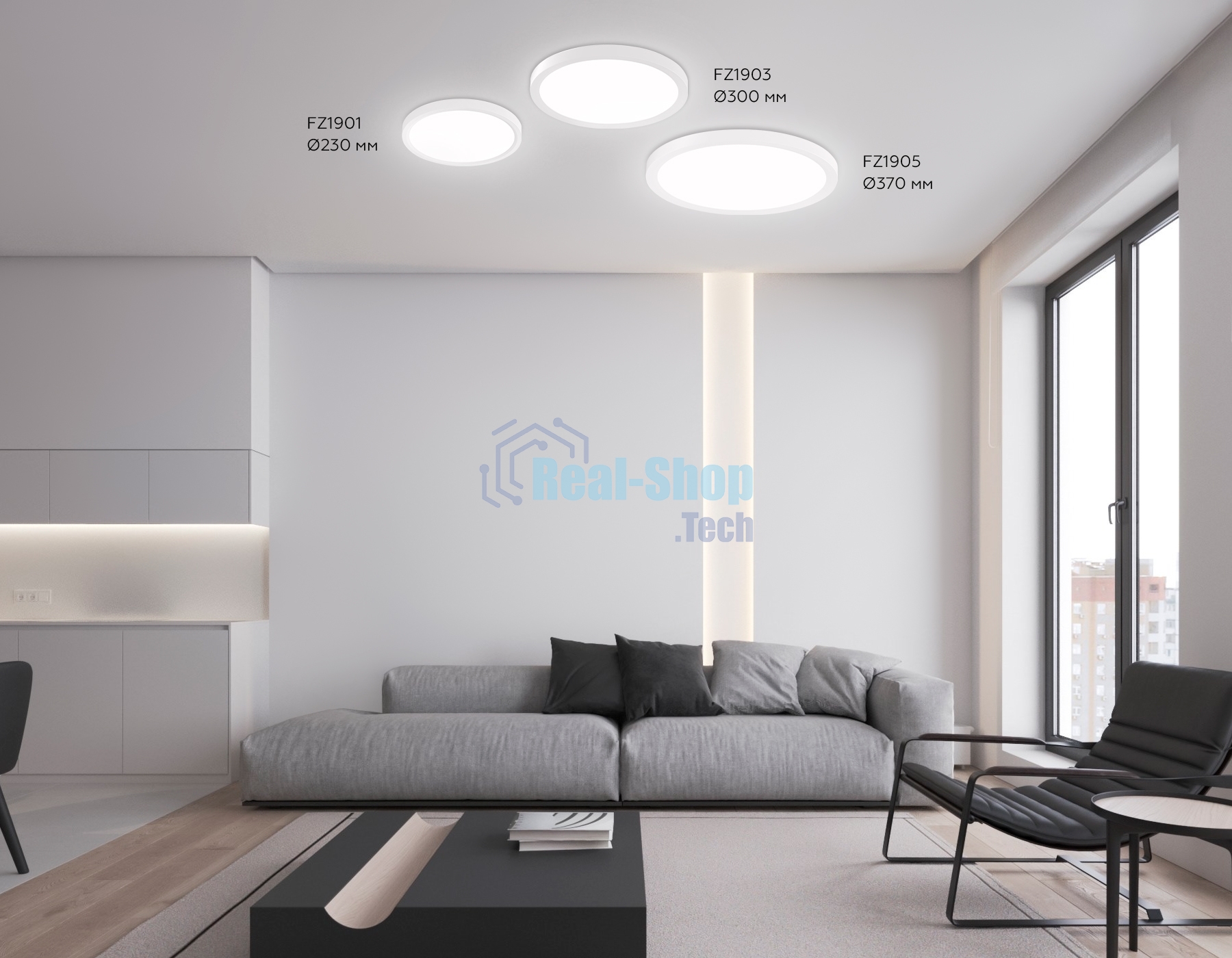 Светильник светодиодный ультратонкий Ambrella light FZ1901 WH белый IP54 13W 3000K-6500K CCT-переключатель D230*25 (Без ПДУ)