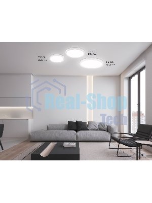 Светильник светодиодный ультратонкий Ambrella light FZ1901 WH белый IP54 13W 3000K-6500K CCT-переключатель D230*25 (Без ПДУ)