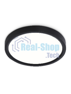 Светильник светодиодный ультратонкий Ambrella light FZ1902 BK черный IP54 13W 3000K-6500K CCT-переключатель D230*25 (Без ПДУ)