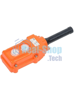 Пост кнопочный ПКТ-61 ИЭК BPU10-2