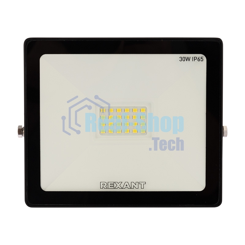 Прожектор светодиодный Rexant 30 Вт 200–260В IP65 2400 лм 6500 K холодный свет