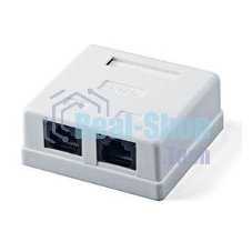 Розетка GEMBIRD NA214 RJ-45 кат.5e внешняя 2 порта, 110&Krone