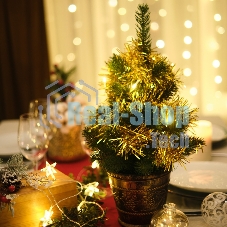 Гирлянда светодиодная Neon-night 