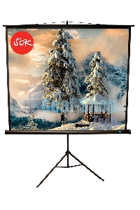 Экран 150x150 см TriScreen 1:1 напольный рулонный белый84' Matt White (MW), черный корпус