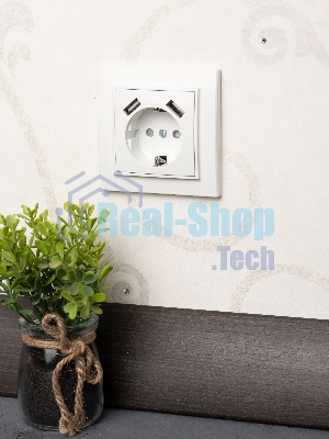 Розетка 1-местная СП с/з 16А белая с защ. штор. с 2 USB 2,1А EKF Минск
