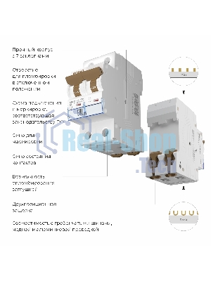 Автоматический выключатель Werkel 2P 20A C 6 кА W902P206