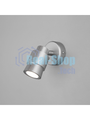 20125/1 LED / настенный светильник / серебро