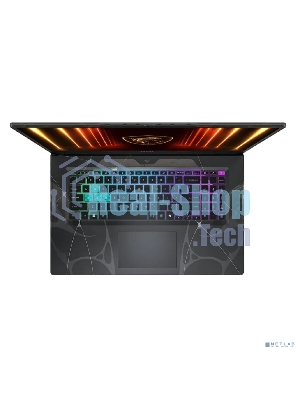 Ноутбук MSI Cyborg 17 B2RWGKG-286XRU/17.3