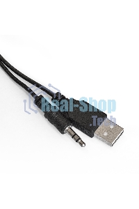 Акустическая система 2.0 ExeGate EX287057RUS Disco 140 Black (питание USB, 2х3Вт (6Вт RMS), 100-20000Гц, черный)