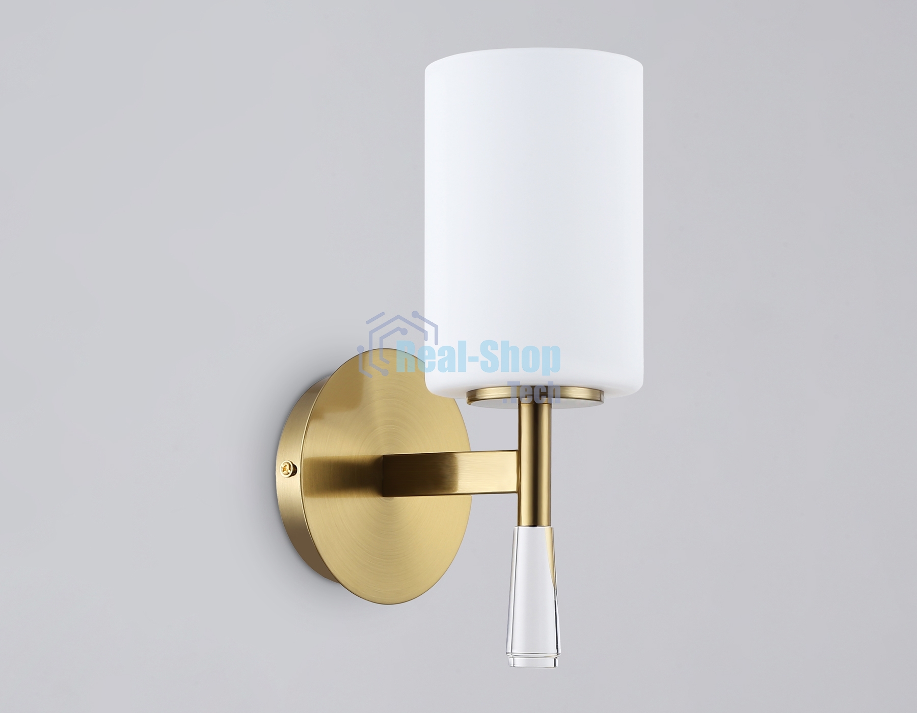 Настенный светильник Ambrella light LH56265 BS/FR латунь/белый матовый E27 max 60W 160*120*280