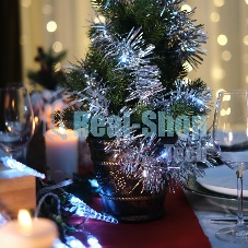 Гирлянда светодиодная Neon-night 