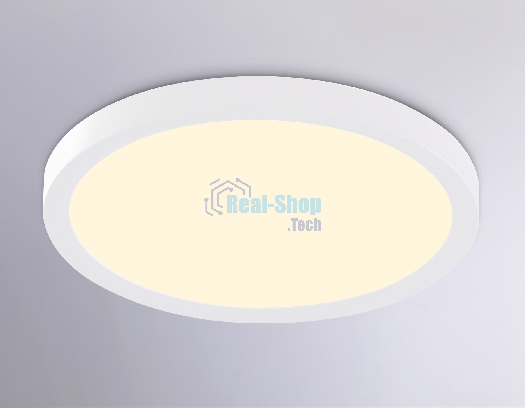 Светильник светодиодный ультратонкий Ambrella light FZ1903 WH белый IP54 20W 3000K-6500K CCT-переключатель D300*25 (Без ПДУ)
