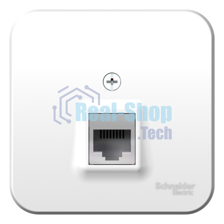 Розетка компьютерная ОП Blanca RJ45 кат.5e изол. пласт. бел. SchE BLNIA045001