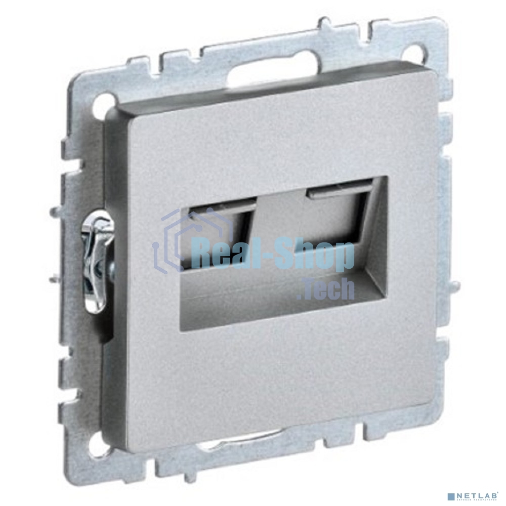 Розетка компьютерная двойная СП RJ45 кат.5E BRITE РК10-2-БрА алюм. IEK BR-K20-1-K47