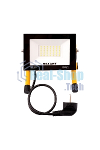 Прожектор-переноска Rexant СДО-EXPERT 50 Вт 4000 Лм 6500 K со шнуром 0,5 метра и евровилкой