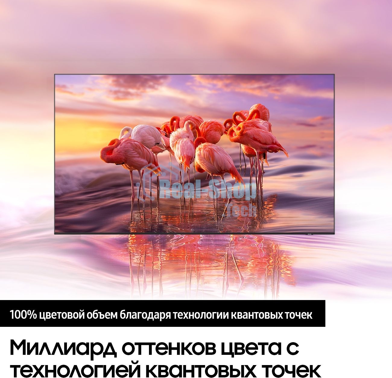 Телевизор Samsung 55