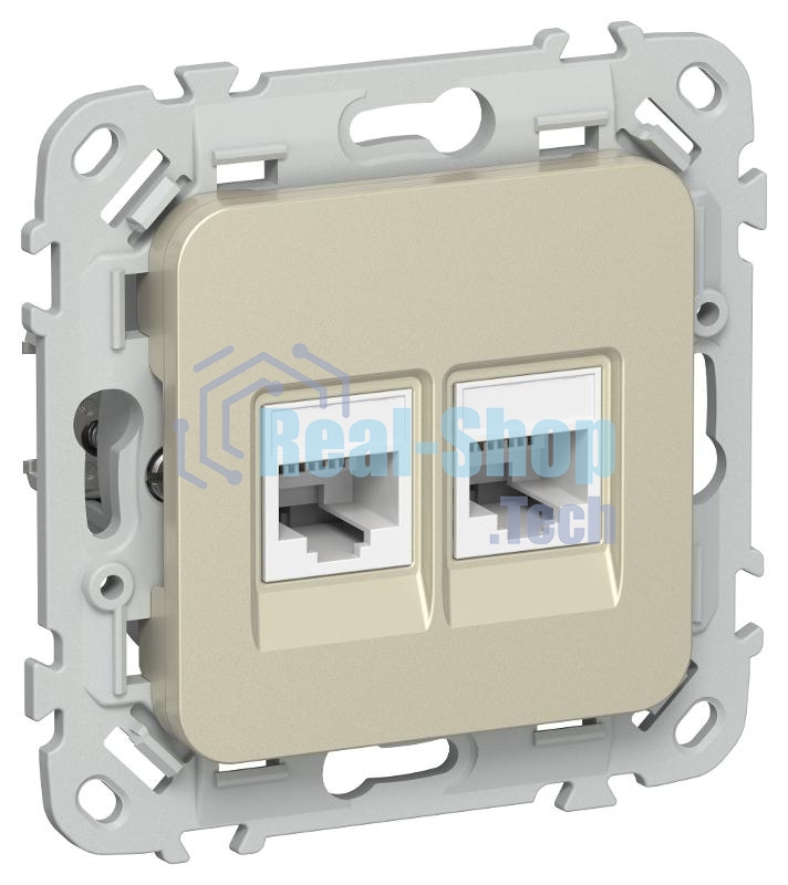 FLITE Розетка 2-ая компьютерная RJ45 кат.5Е UTP РК5е-2-0-ФлШ шампань | FI-K22-1-K37 | IEK