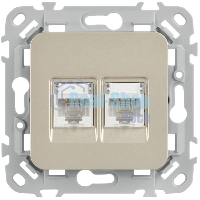 FLITE Розетка 2-ая компьютерная RJ45 кат.5Е UTP РК5е-2-0-ФлШ шампань | FI-K22-1-K37 | IEK