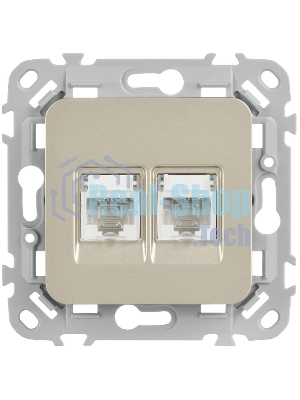 FLITE Розетка 2-ая компьютерная RJ45 кат.5Е UTP РК5е-2-0-ФлШ шампань | FI-K22-1-K37 | IEK