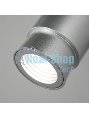 20125/1 LED / настенный светильник / серебро