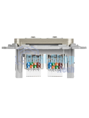 FLITE Розетка 2-ая компьютерная RJ45 кат.5Е UTP РК5е-2-0-ФлШ шампань | FI-K22-1-K37 | IEK