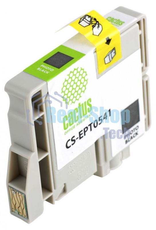 Картридж струйный Cactus CS-EPT0541 черный (16,2 мл) для Epson Stylus Photo R800/R1800