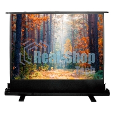 Экран Cactus 135x180 см FloorExpert CS-PSFLE-180X135 4:3 напольный рулонный