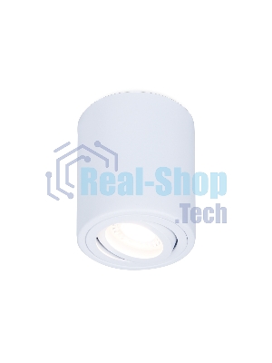 Светильник Ambrella light TN225 WH белый GU5.3 D80*100