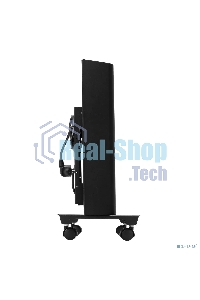 Конвектор Denzel XCE-2000B черный, 2000 Вт, 25 м2, термостат