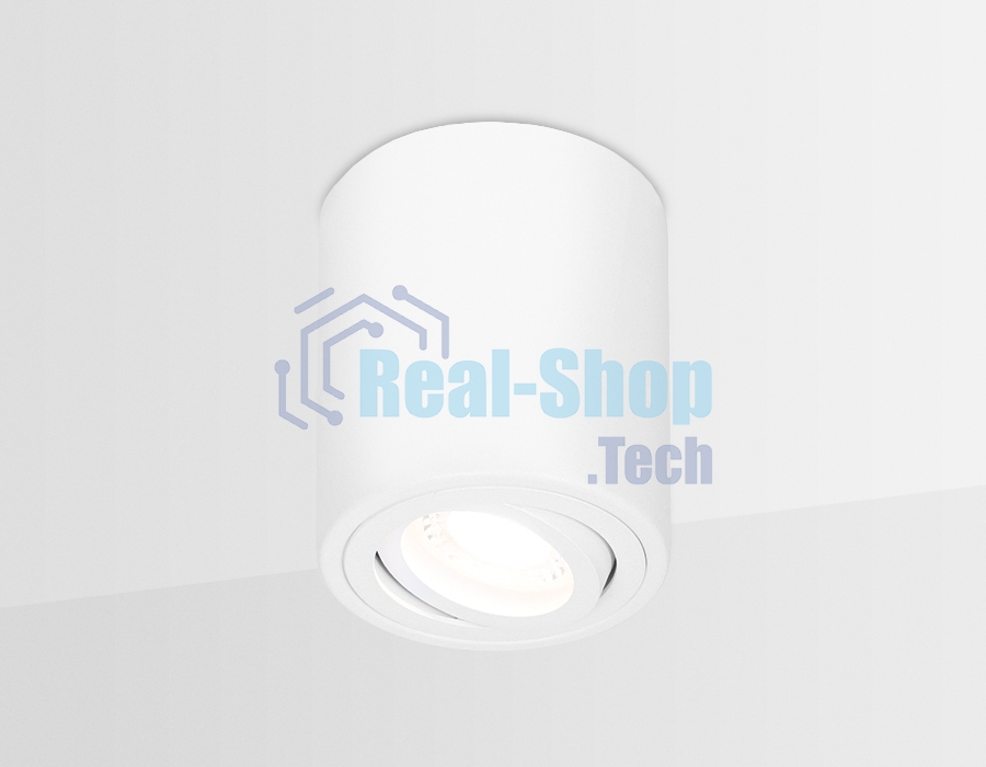 Светильник Ambrella light TN225 WH белый GU5.3 D80*100
