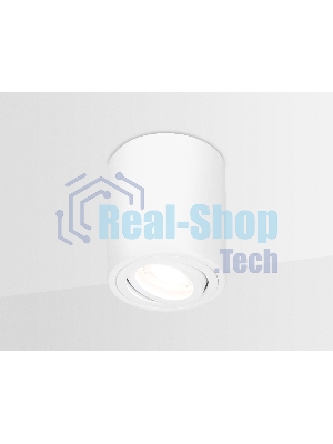 Светильник Ambrella light TN225 WH белый GU5.3 D80*100