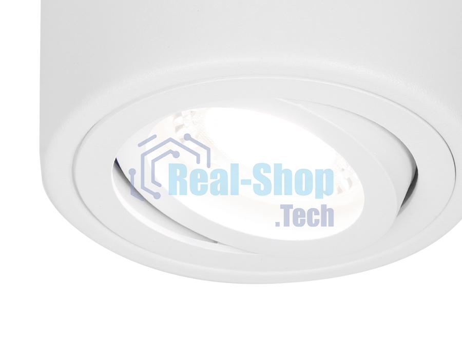 Светильник Ambrella light TN225 WH белый GU5.3 D80*100
