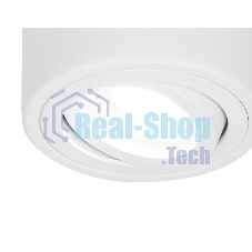 Светильник Ambrella light TN225 WH белый GU5.3 D80*100