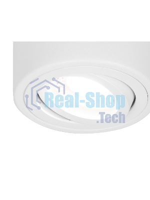 Светильник Ambrella light TN225 WH белый GU5.3 D80*100
