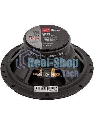 Колонки автомобильные ACV DRALL DR6 (без решетки) 210Вт 96дБ 3Ом 16см (6.5дюйм) (ком.:2кол.) широкополосные однополосные