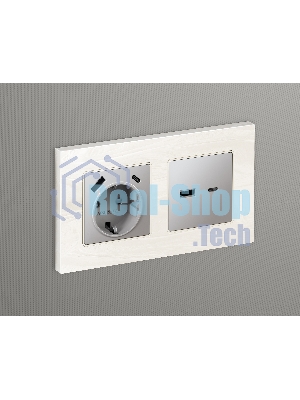 Лицевая панель ALFA (Сталь матовый) для розетки 2USB тип A+C QUANT AP5110