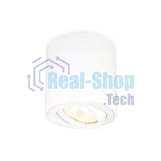 Накладной точечный поворотный светильник TN22701 WH белый GU5.3 D80*84