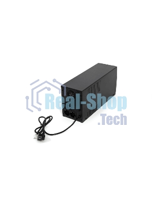 Источник бесперебойного питания RAPAN-UPS 3000 220В