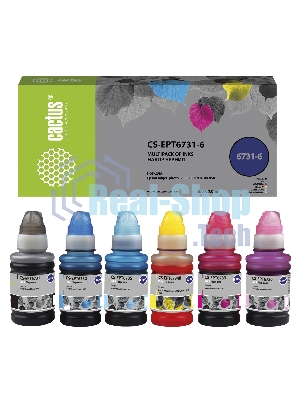 Чернила Cactus CS-EPT6731-6