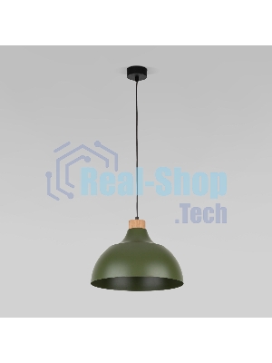 5665 / подвесной светильник / Cap Green