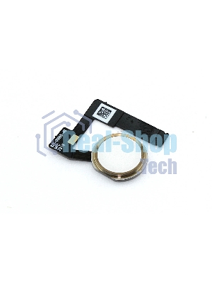 Шлейф кнопки Home для Apple iPad Air 3 золотой