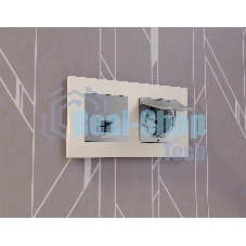 Лицевая панель ALFA (Сталь матовый) для компьютерной/телефонной розетки RJ-45/RJ-11 QUANT AP5120